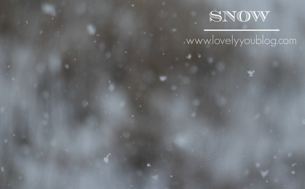 Faring the Winter Storm Natasha Smith